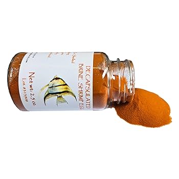 brine eggs様注文専用(他のお客様はご遠慮ください) 71VmaMgNbGL._UF350,350_QL50_.jpg